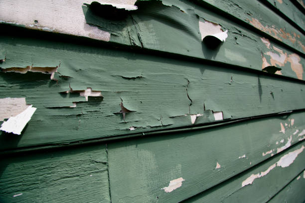 Best Construction Debris Removal  in Lynn, MA